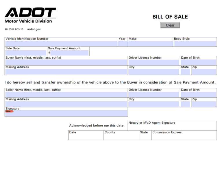 Document Preview