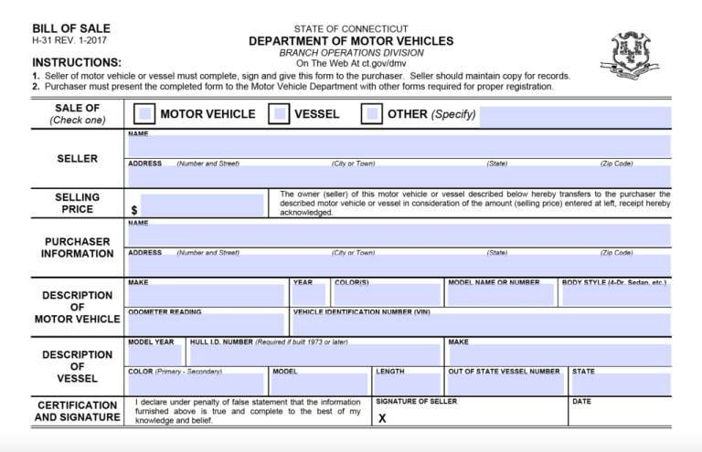 Document Preview