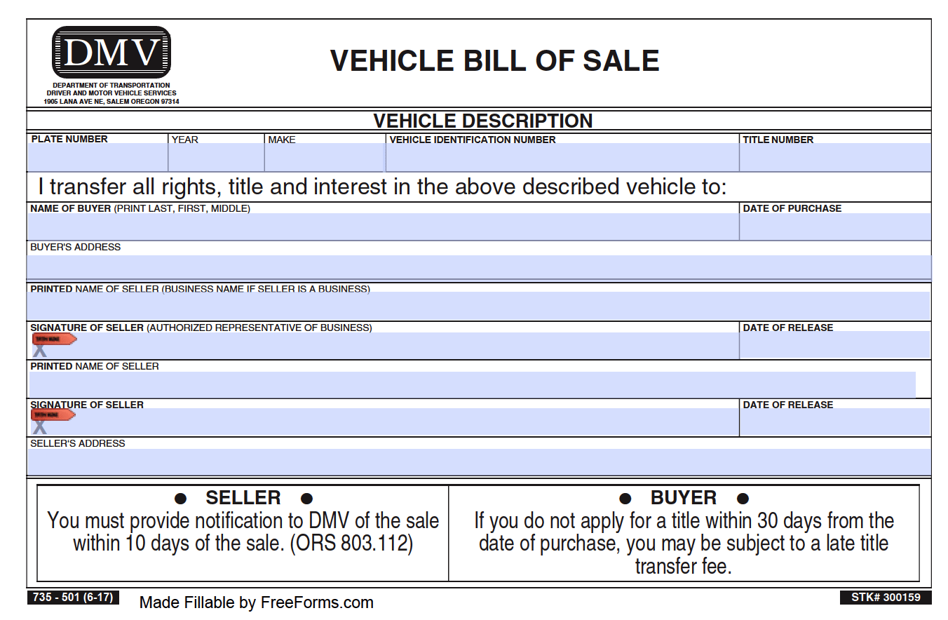 Document Preview