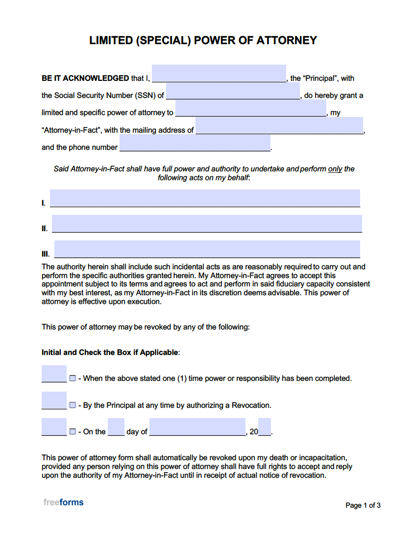 Document Preview