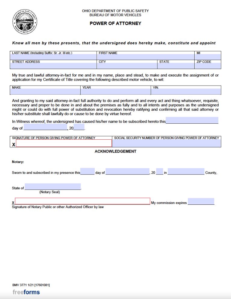 Document Preview