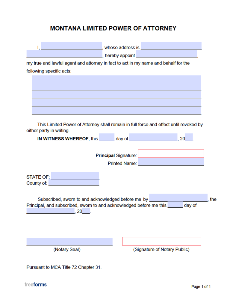 Document Preview